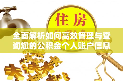 临淄全面解析如何高效管理与查询您的公积金个人账户信息