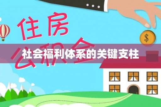 临淄社会福利体系的关键支柱
