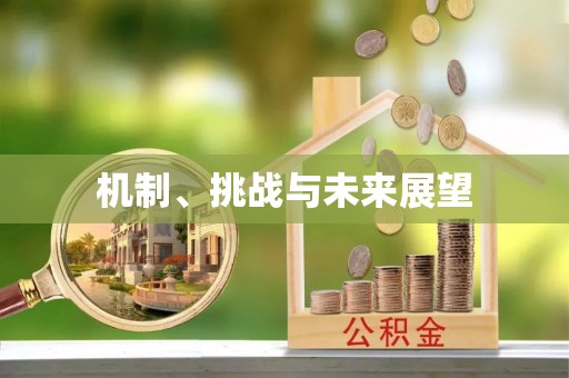 临淄机制、挑战与未来展望